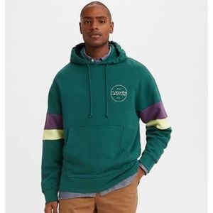 Levi’s Men’s Modern Vintage Blocked Open Hem Hoodie Color Block Forest Biome L